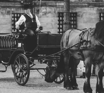 De geschiedenis van autorijden